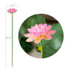 35.5cm Artificial Lotus Pond Flower