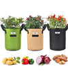 3Pk Fabric Vegetable Planters