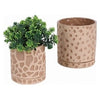 Ceramic Plant Pot Pair